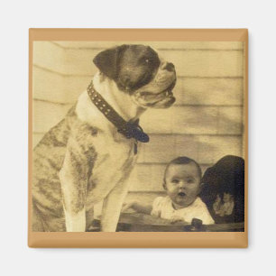 1920s pitbull guards baby magnet