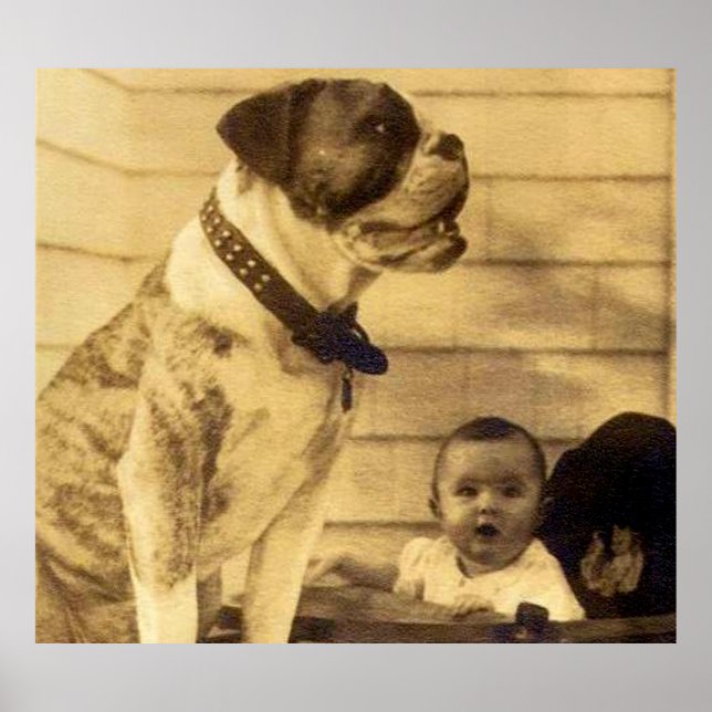 1920s pitbull guards baby poster (Front)
