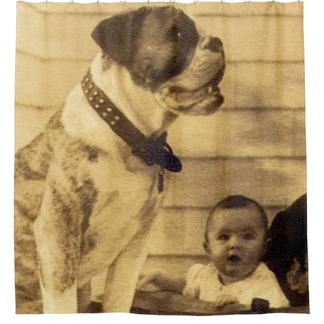 1920s pitbull guards baby shower curtain (Front)