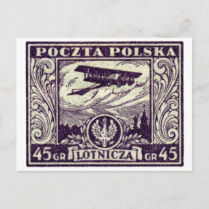 1925 45gr Polish Airmail Stamp Postcard
