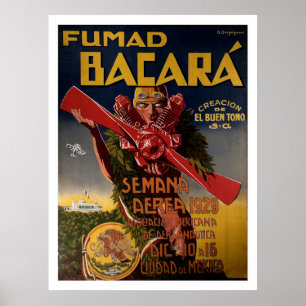 1929 Aviation Poster "Fumad Bacara"