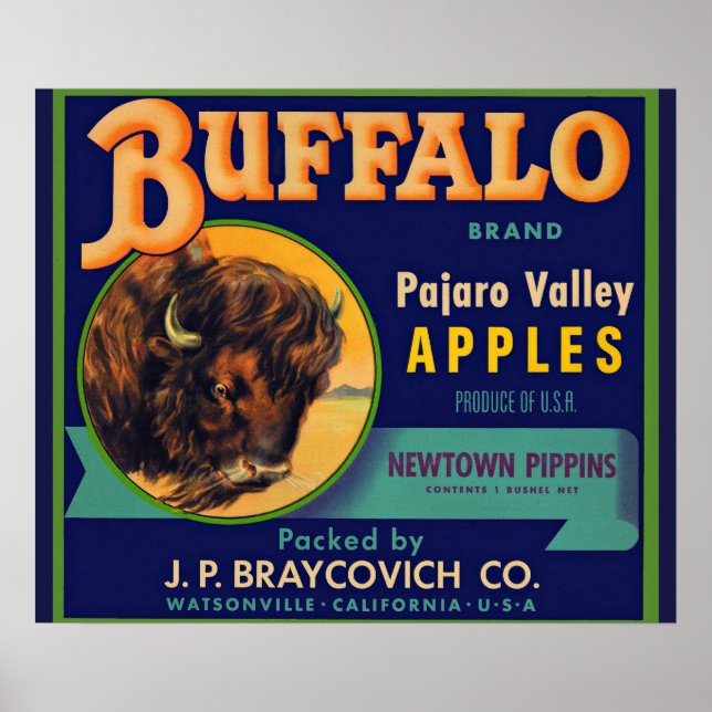 1930s Buffalo Brand Apples crate label Poster (Front)