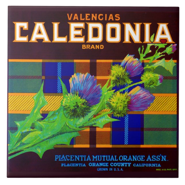 1930s Caledonia orange crate label Ceramic Tile (Front)