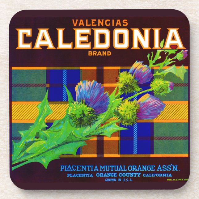 1930s Caledonia orange crate label Coaster (Front)