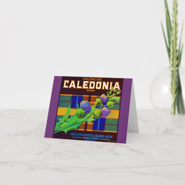 1930s Caledonia orange crate label Note Card (Front)