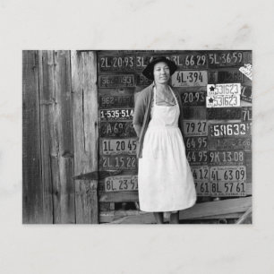 1930s License Plate Collection Postcard