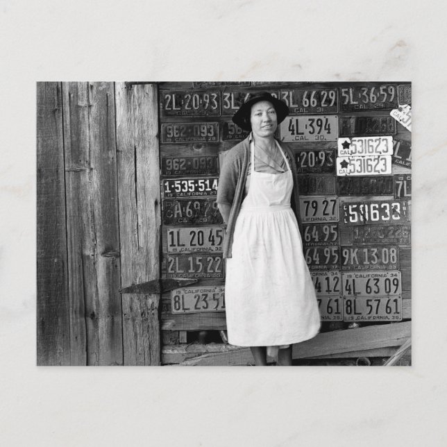 1930s License Plate Collection Postcard (Front)