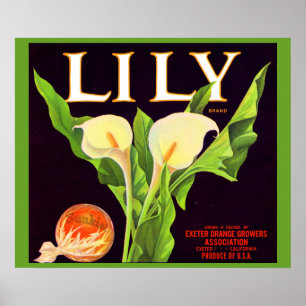 1930s Lily orange crate label  Poster