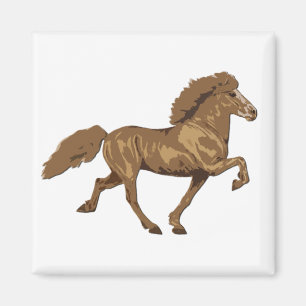 1930's Vintage Icelandic Magnet