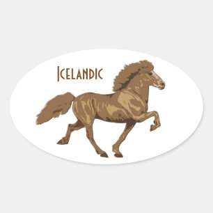 1930's Vintage Icelandic Oval Sticker