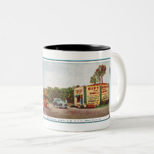 1930S WINTER HAVEN FLORIDA PHOTO POSTCARD Two-Tone COFFEE MUG