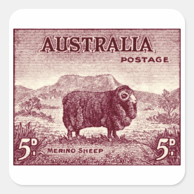 1934 Australian Merino Sheep Square Sticker (Front)