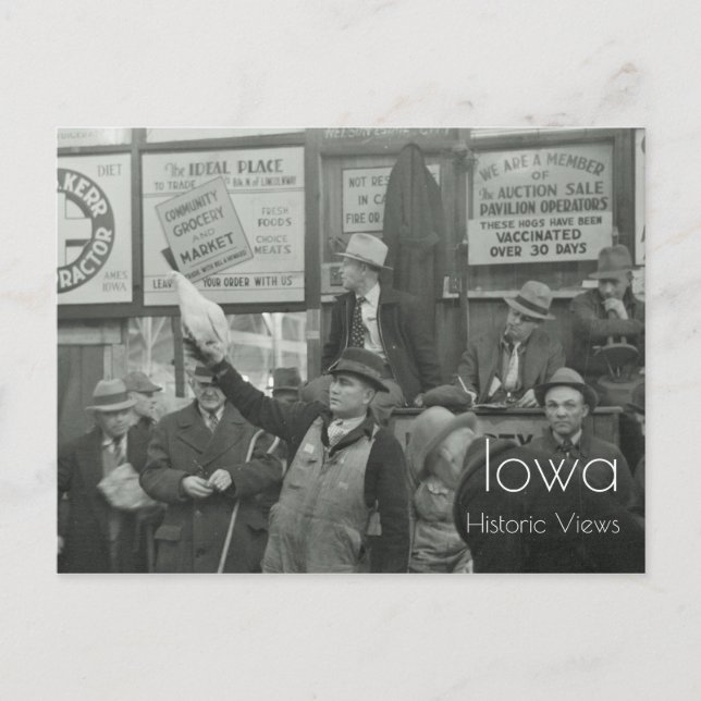 1936 Livestock Auction Postcard (Front)