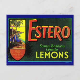 1940s Estero lemons fruit crate label Postcard