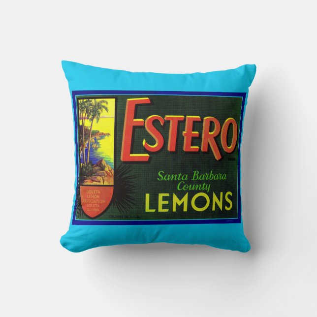 1940s Estero lemons fruit crate label print Cushion (Front)
