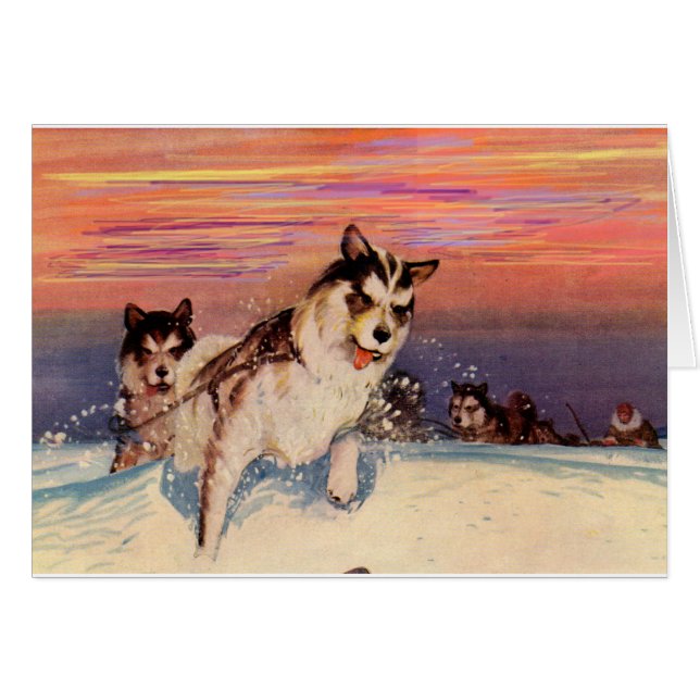 1940s Siberian husky sled dogs doing their thing (Front Horizontal)