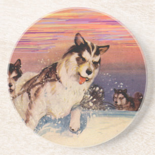 1940s Siberian husky sled dogs doing their thing Coaster