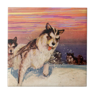 1940s Siberian husky sled dogs doing their thing Tile