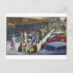 1949 St Petersburg Florida "The Green Benches" Postcard