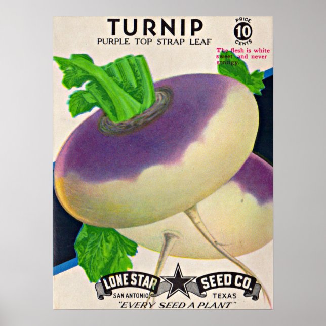  1950s seed packet turnips poster (Front)