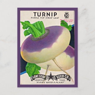 1950s seed packet turnips print postcard