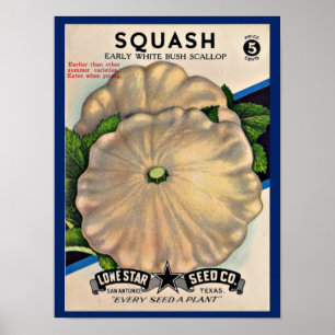 1950s seed packet white squash print