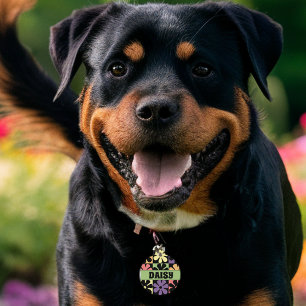 1970s Retro Daisies Pet Tag