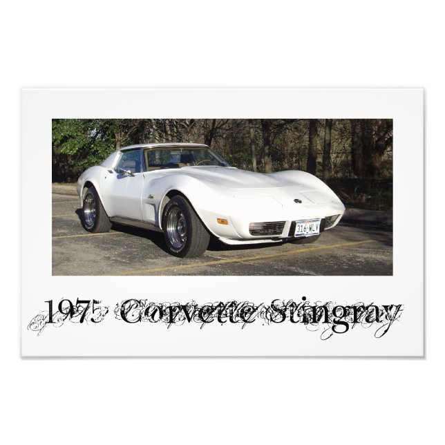 1975 Corvette Stingray Photo Print (Front)