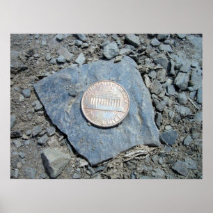 1980 American Penny (Front) Poster