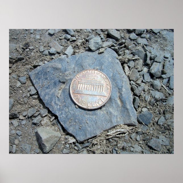 1980 American Penny (Front) Poster (Front)