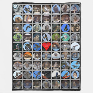 1998-2019 Peregrine Falcons of Rochester, NY Fleece Blanket