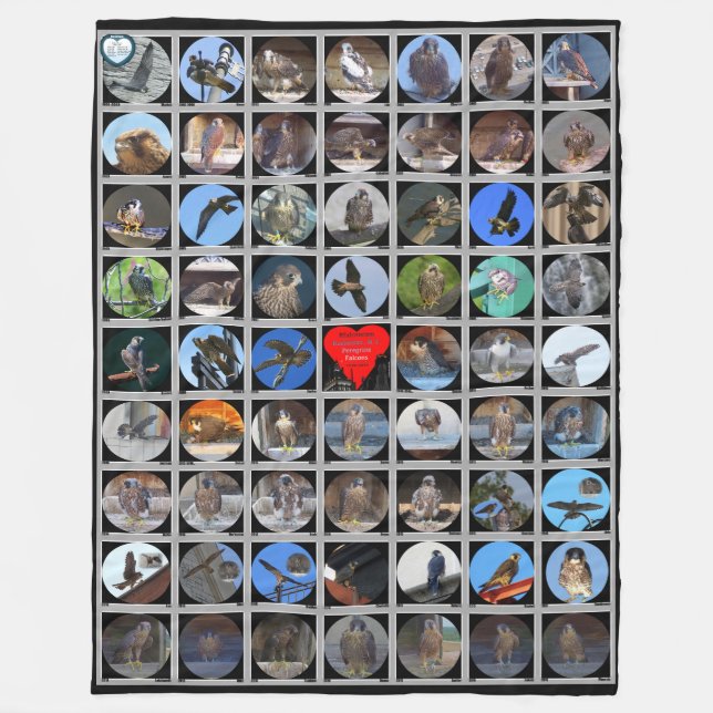 1998-2019 Peregrine Falcons of Rochester, NY Fleece Blanket (Front)