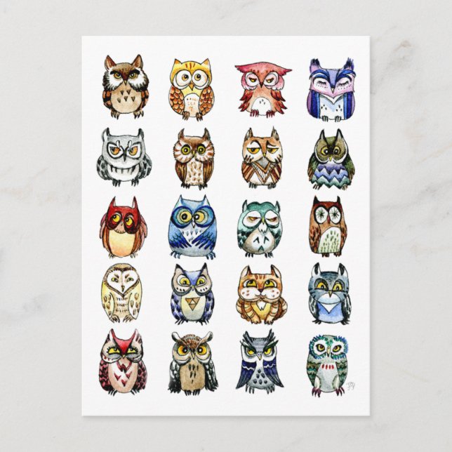 19 and 1 Cat and Owls Postcard (Front)