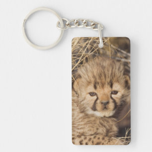 19 days old male cub. Namibia Key Ring