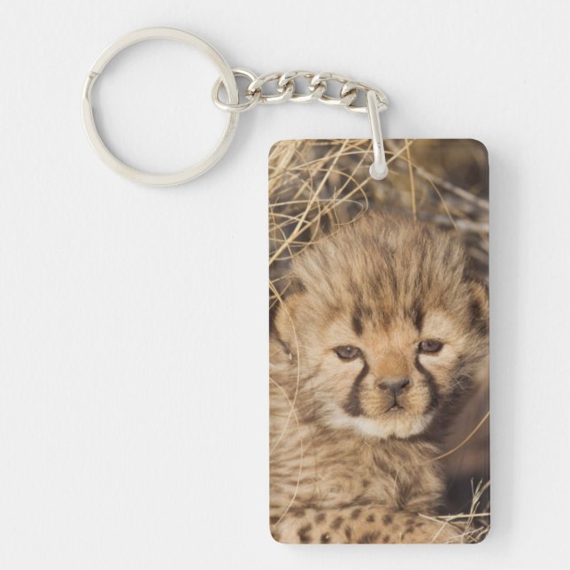 19 days old male cub. Namibia Key Ring (Front)