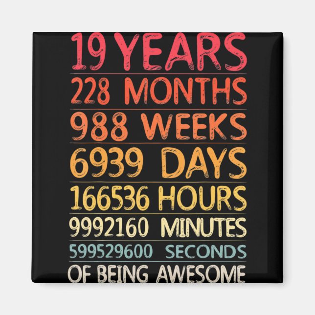 19 Years 228 Months 988 Weeks Birthday Ninteenth 1 Magnet (Front)