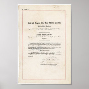 19th Amendment Poster