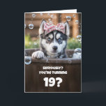 19th Birthday Cute and Funny Husky Tub Card<br><div class="desc">This delightful card features an adorable husky with a surprised expression,  bringing a fun and cheerful vibe. It can be personalized for any age,  with this one designed especially for a 19th birthday.</div>