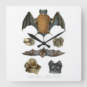 19th C. Bat Print Square Wall Clock
