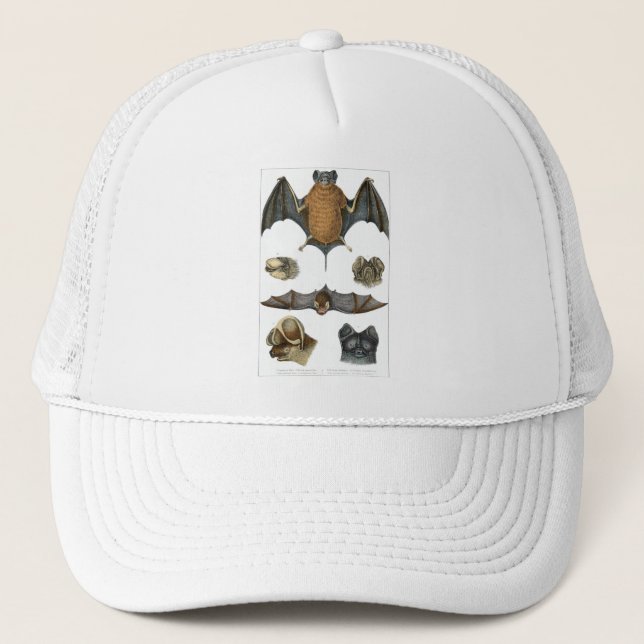 19th C. Bat Print Trucker Hat (Front)