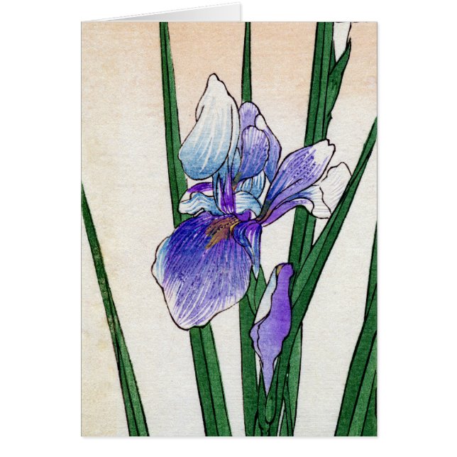 19th C. Japanese Iris (Front)