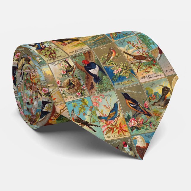 19th Century Birds of America Illustrations Tie (Rolled)