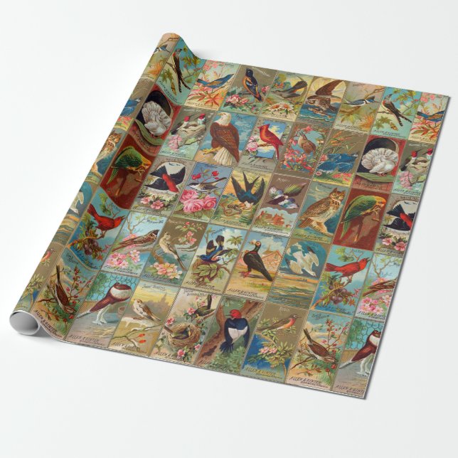 19th Century Birds of America Wrapping Paper (Unrolled)