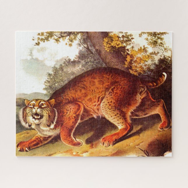 19th century bobcat print jigsaw puzzle (Horizontal)
