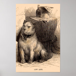 19th century dog print Low Life