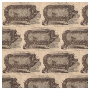 19th century farm animal print Berkshire sow breed Fabric