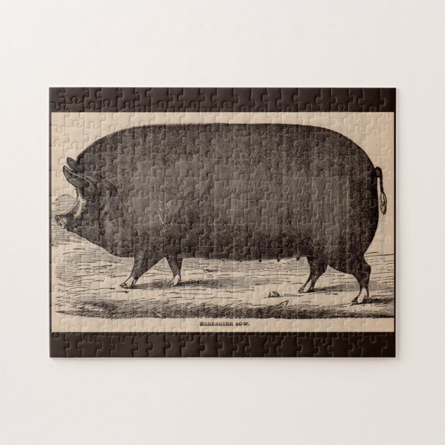 19th century farm animal print Berkshire sow no. 2 Jigsaw Puzzle (Horizontal)
