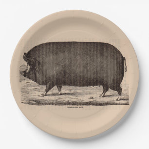19th century farm animal print Berkshire sow no. 2 Paper Plate