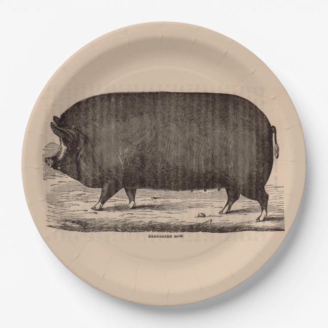 19th century farm animal print Berkshire sow no. 2 Paper Plate (Front)