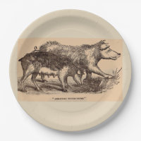 19th century farm animal print pigs